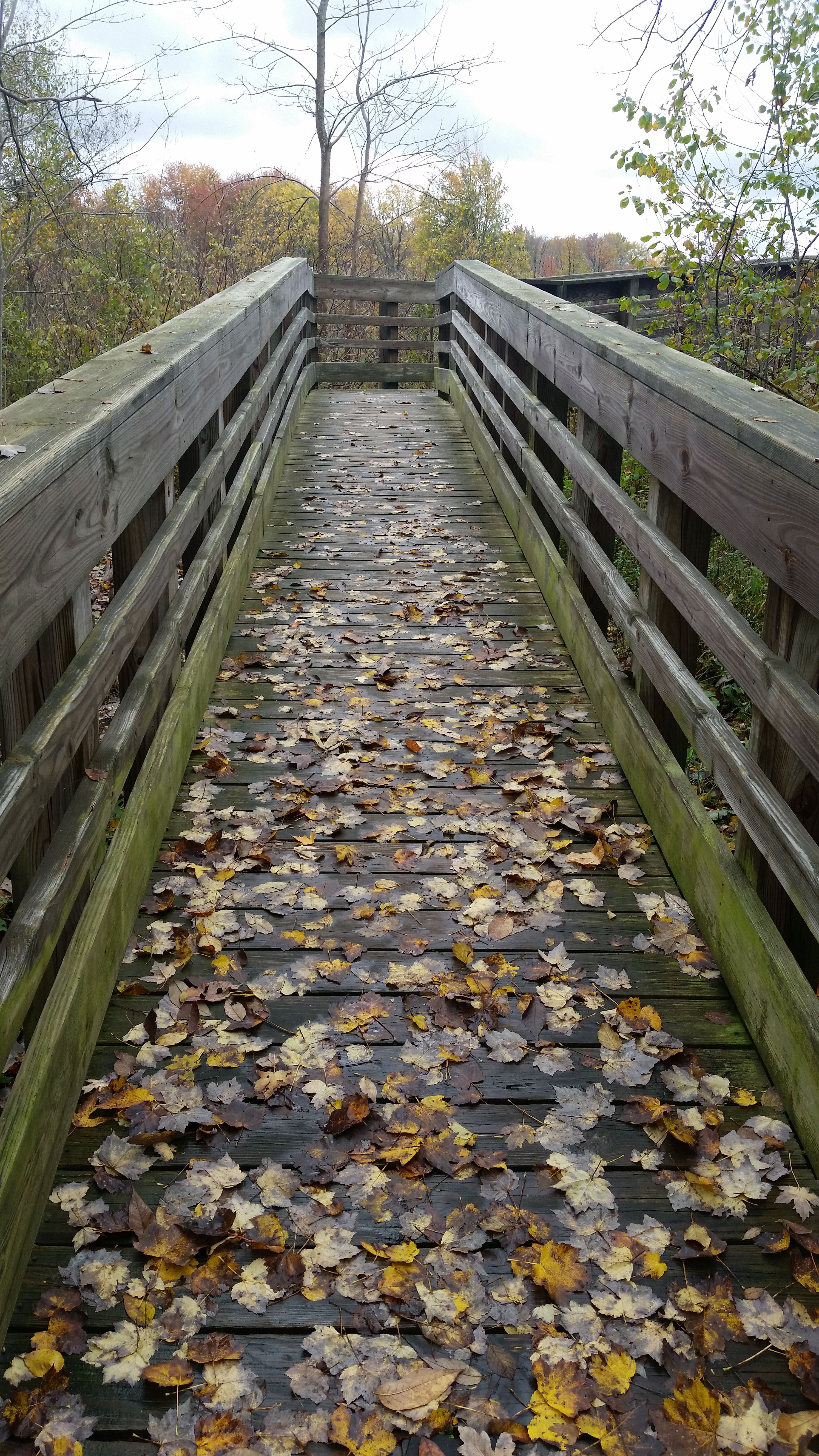 Chardon Shutterstock 775060156